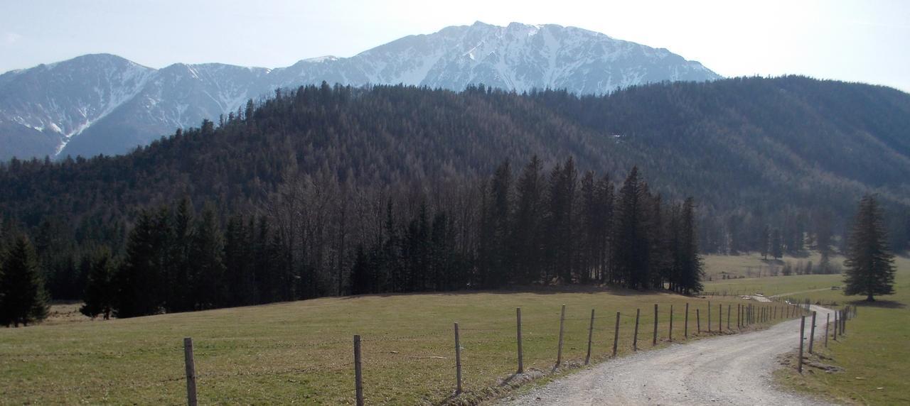 Ferienwohnungen Mamauwiese Gutenstein Εξωτερικό φωτογραφία