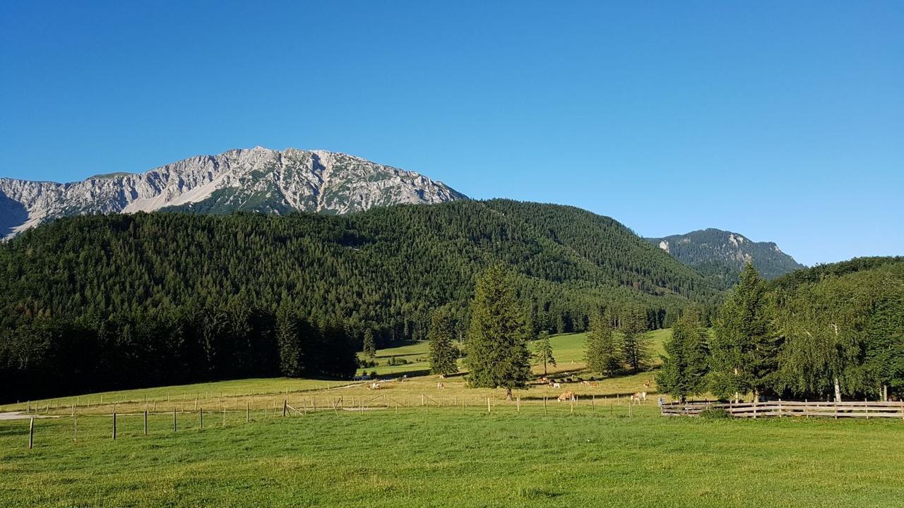 Ferienwohnungen Mamauwiese Gutenstein Εξωτερικό φωτογραφία