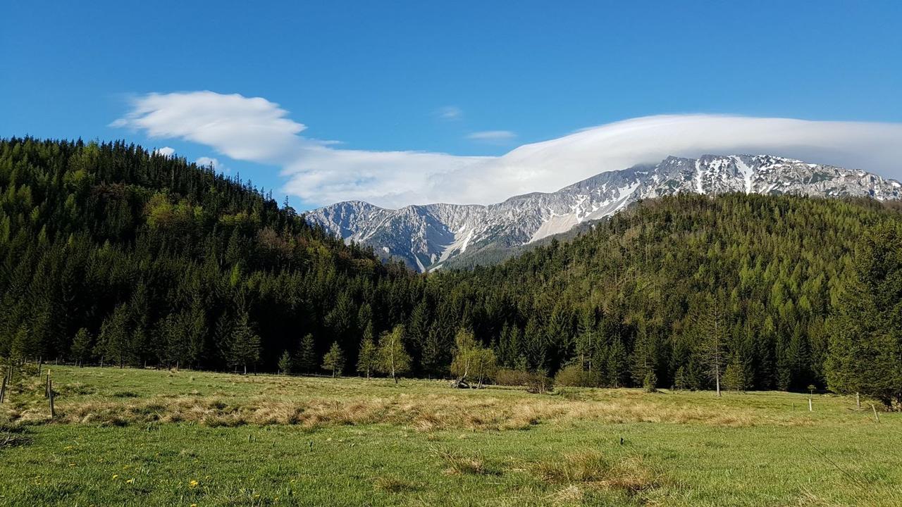Ferienwohnungen Mamauwiese Gutenstein Εξωτερικό φωτογραφία