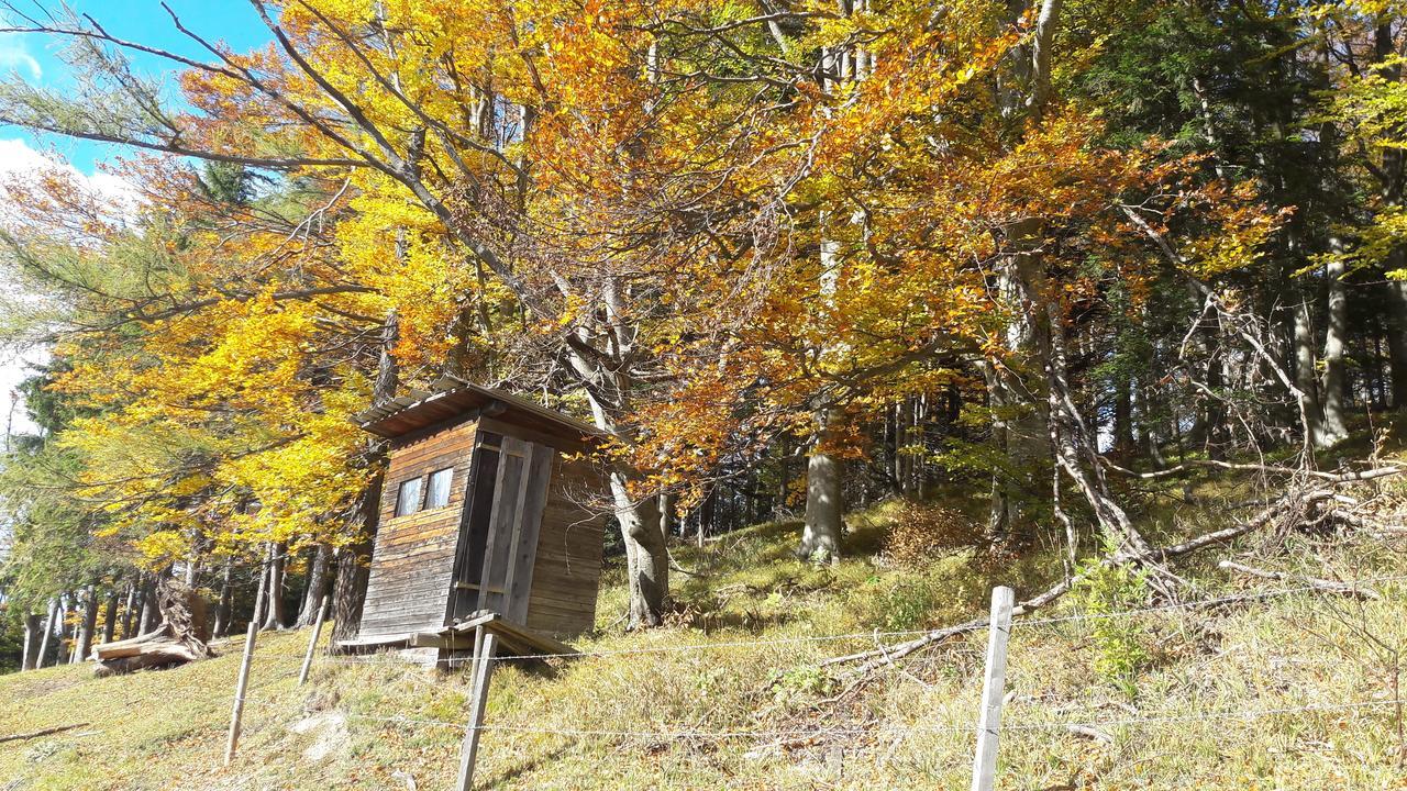 Ferienwohnungen Mamauwiese Gutenstein Εξωτερικό φωτογραφία
