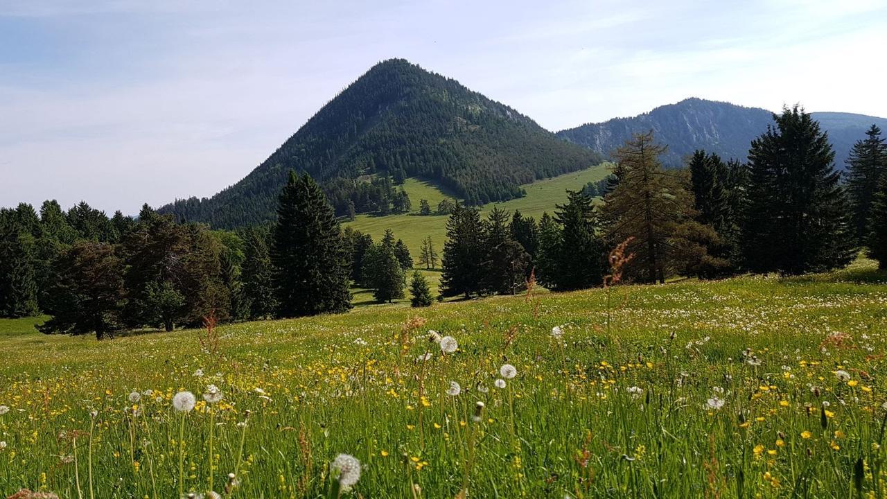 Ferienwohnungen Mamauwiese Gutenstein Εξωτερικό φωτογραφία
