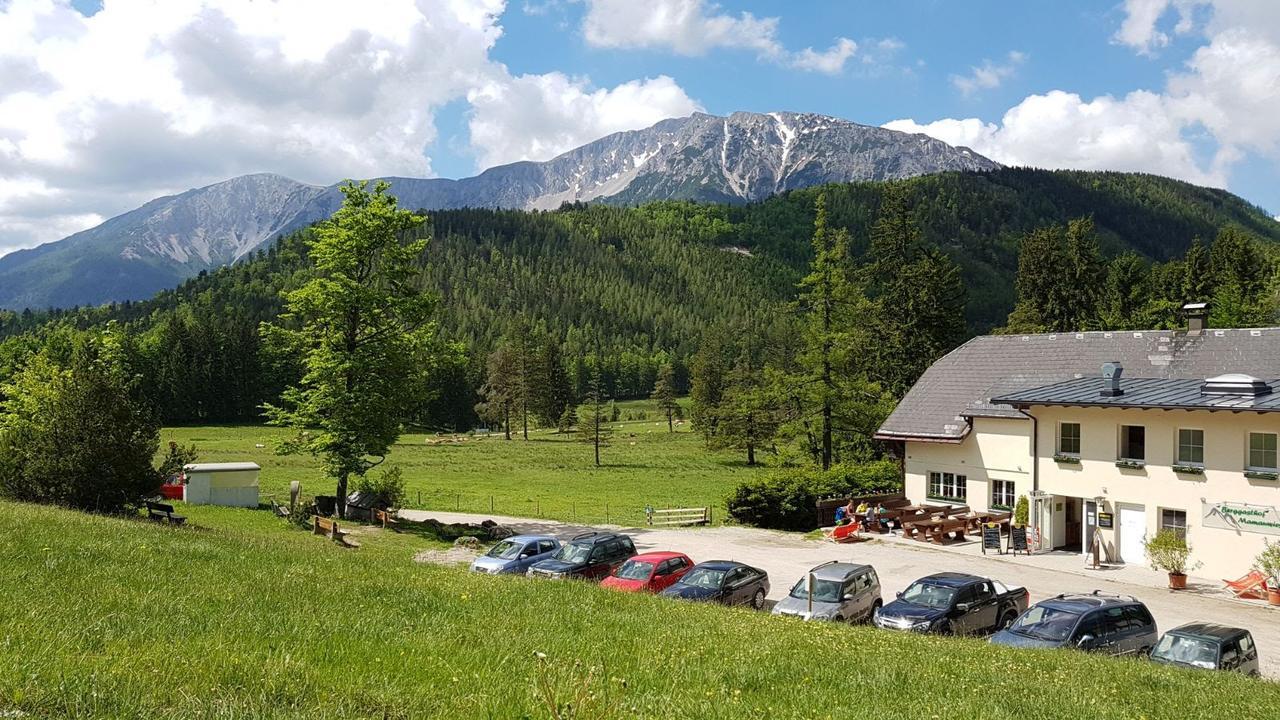 Ferienwohnungen Mamauwiese Gutenstein Εξωτερικό φωτογραφία