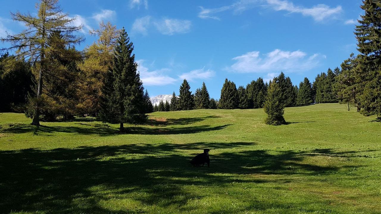 Ferienwohnungen Mamauwiese Gutenstein Εξωτερικό φωτογραφία