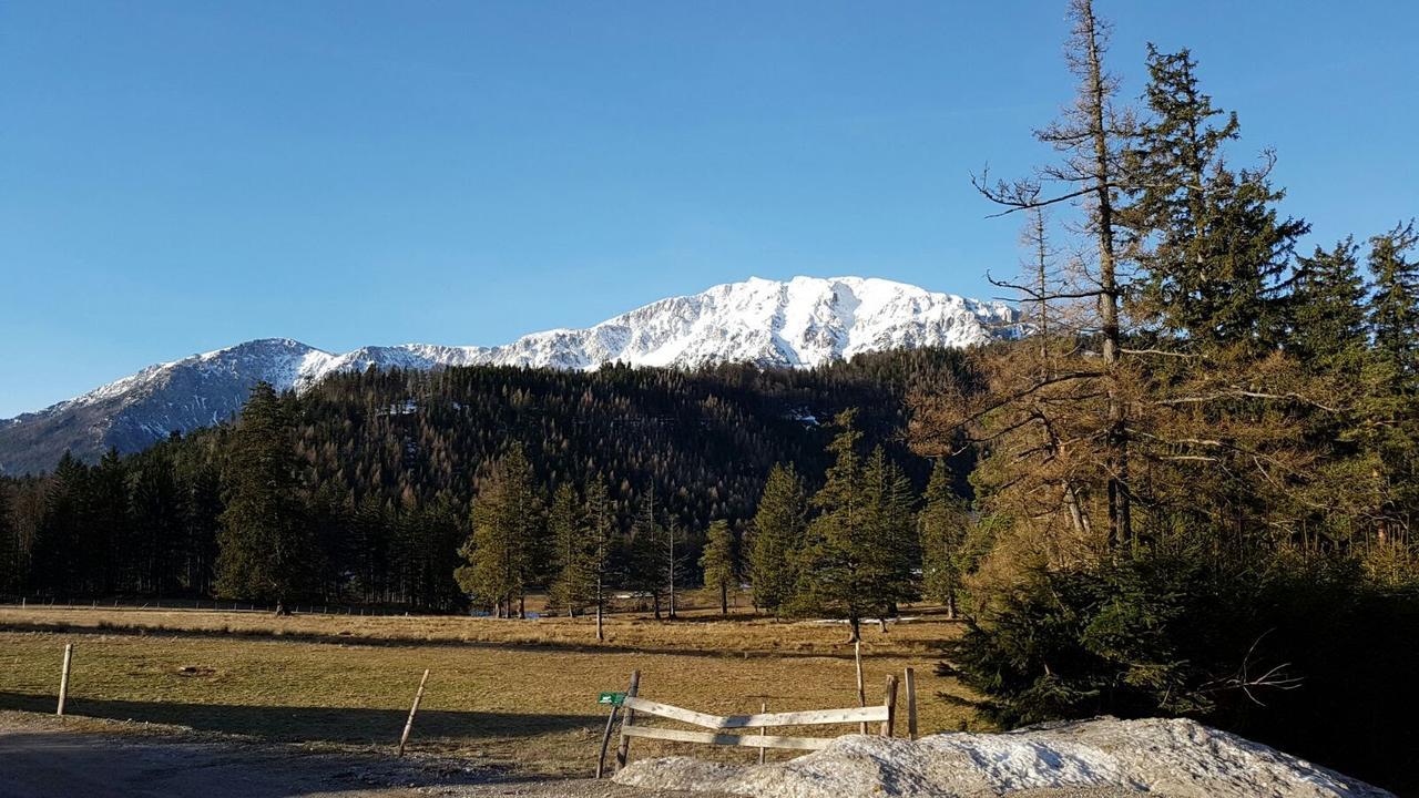 Ferienwohnungen Mamauwiese Gutenstein Εξωτερικό φωτογραφία