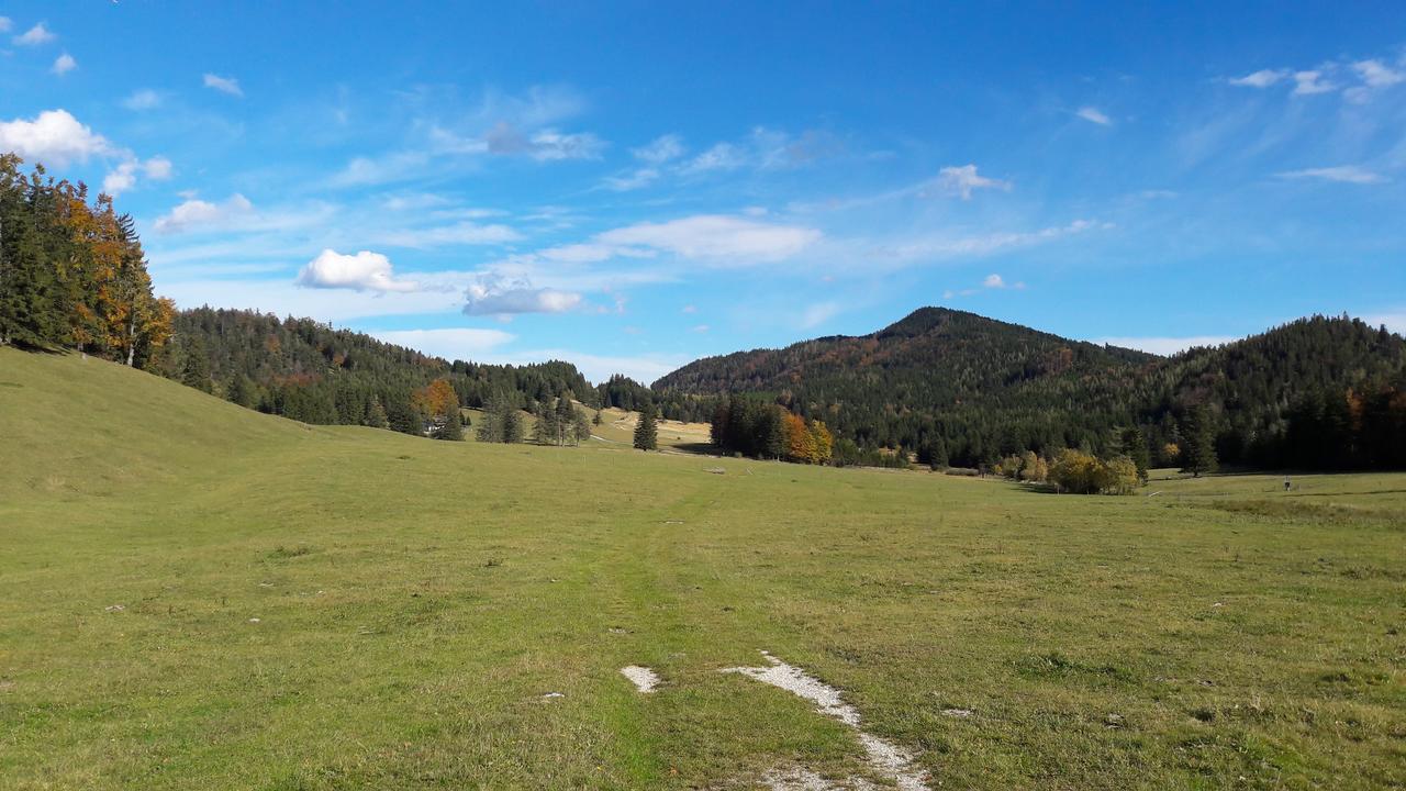 Ferienwohnungen Mamauwiese Gutenstein Εξωτερικό φωτογραφία