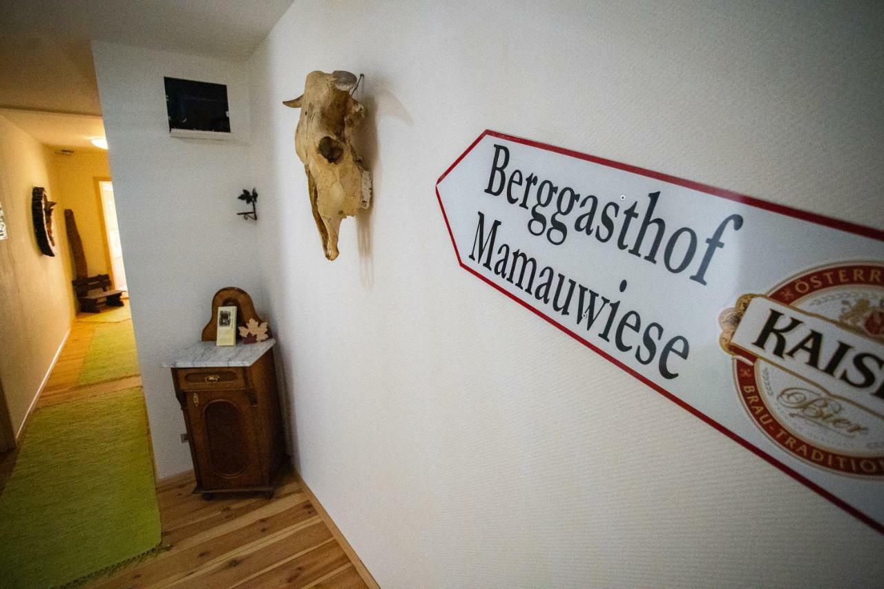 Ferienwohnungen Mamauwiese Gutenstein Εξωτερικό φωτογραφία