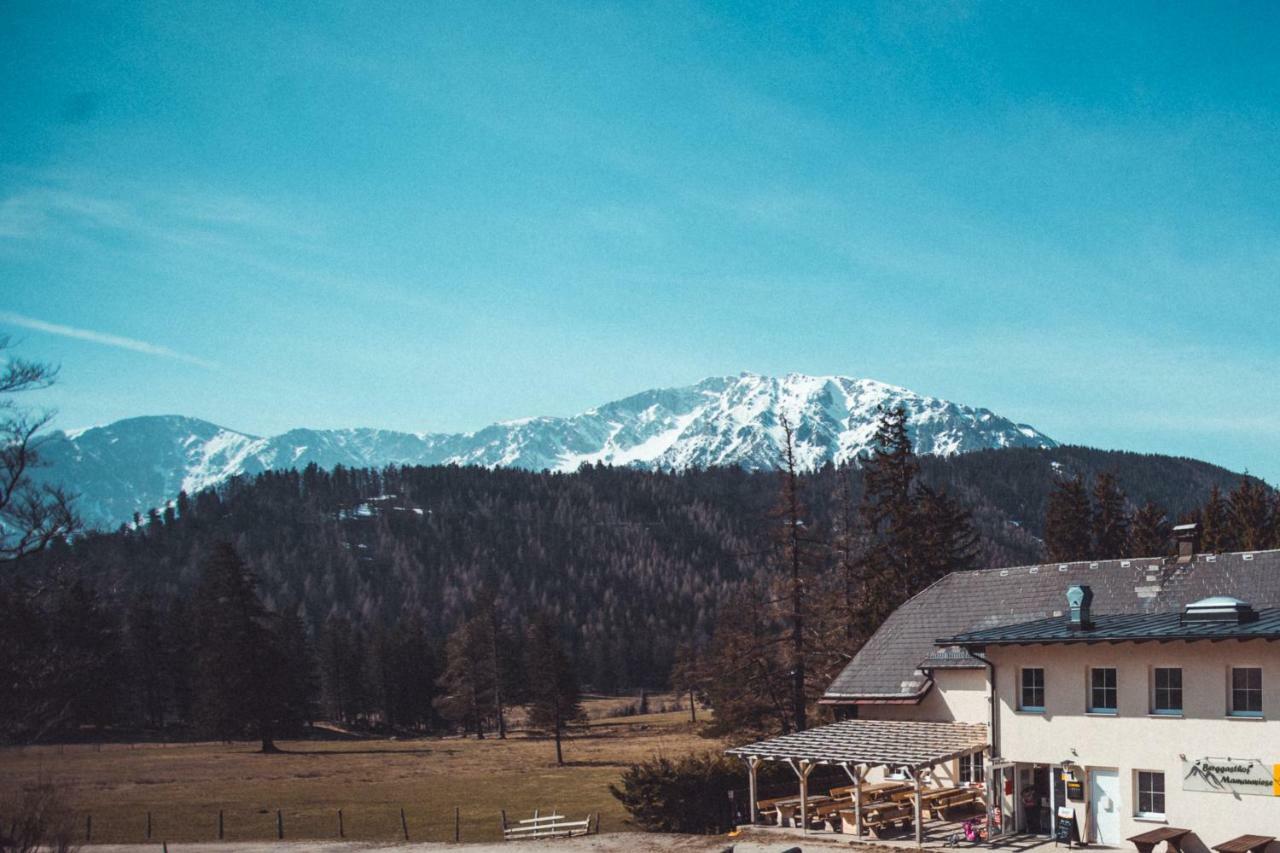 Ferienwohnungen Mamauwiese Gutenstein Εξωτερικό φωτογραφία
