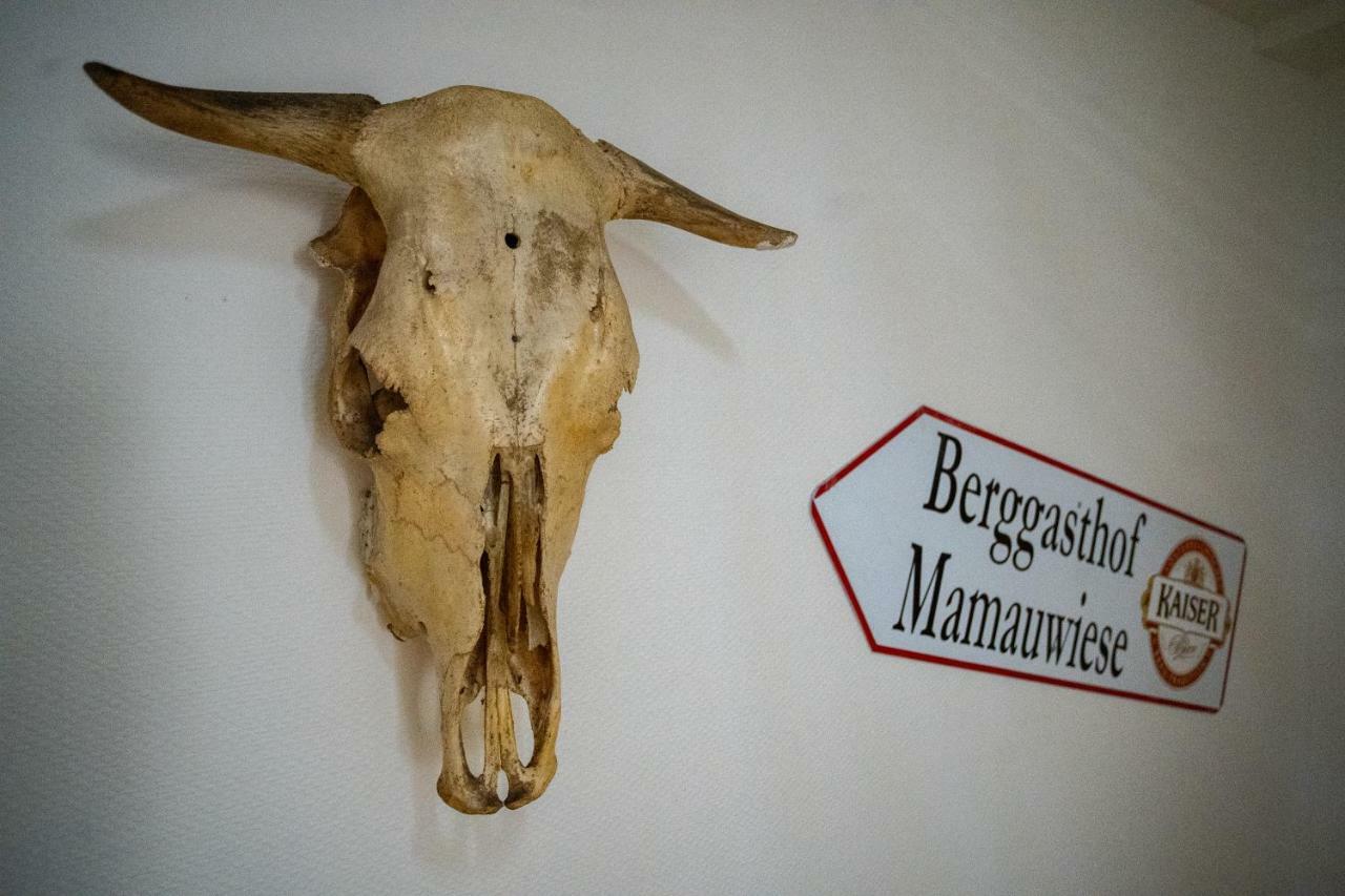 Ferienwohnungen Mamauwiese Gutenstein Εξωτερικό φωτογραφία